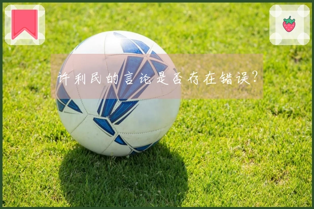 许利民的言论是否存在错误?